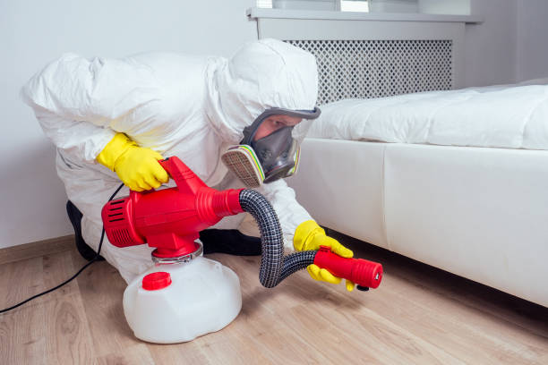 Reliable Glen Rose, TX Pest Control Solutions
