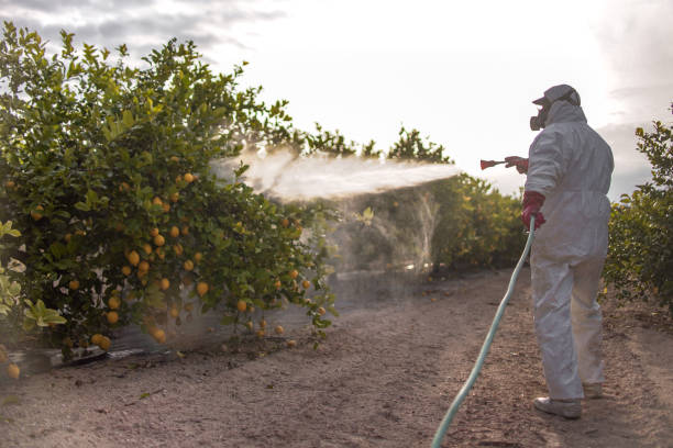  Glen Rose, TX Pest Control Pros