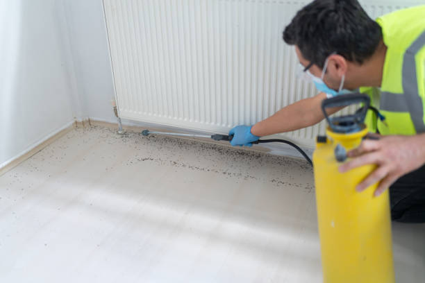 Best Exterminator Services  in Glen Rose, TX