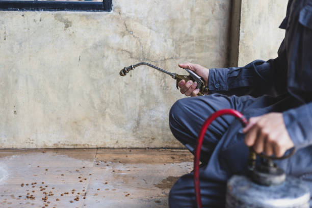 Best Best Pest Control Near Me  in Glen Rose, TX