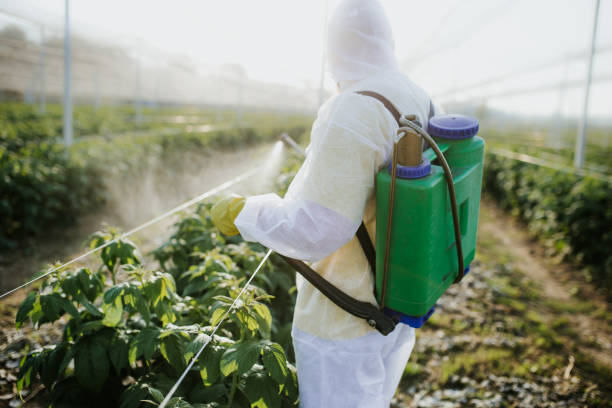 Best Emergency Pest Control  in Glen Rose, TX